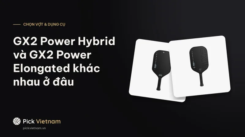 Gearbox GX2 Power Hybrid và GX2 Power Elongated khác nhau ở đâu