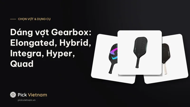 Dáng vợt Gearbox: Elongated, Hybrid, Integra, Hyper, Quad, Mod Quad
