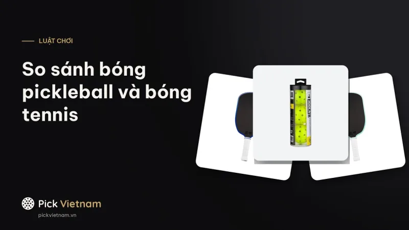 So sánh bóng pickleball và tennis: chất liệu, kích thước, trọng lượng, độ nảy