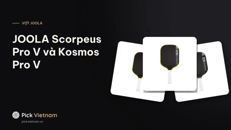 JOOLA Scorpeus Pro V và Kosmos Pro V: hai dáng vợt rộng của gen 5