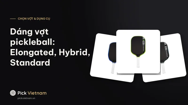 Dáng vợt pickleball: Elongated, Hybrid, Standard khác nhau ra sao