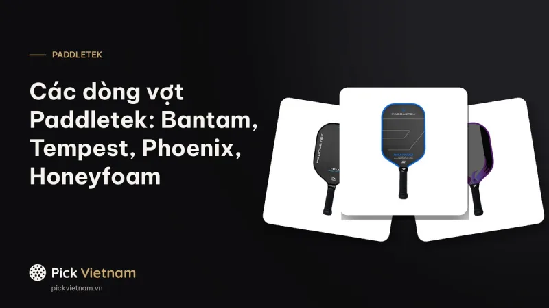 Các dòng vợt Paddletek: Bantam, Tempest, Phoenix và Honeyfoam khác nhau ra sao
