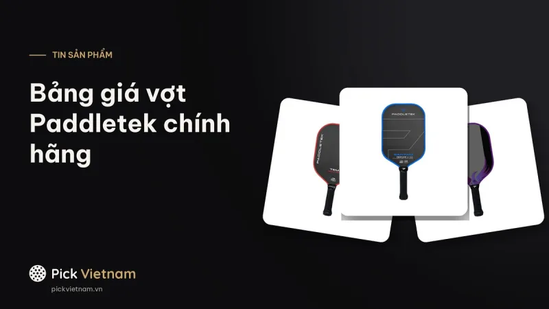Bảng giá vợt Paddletek chính hãng: Bantam, Tempest, Phoenix, Honeyfoam